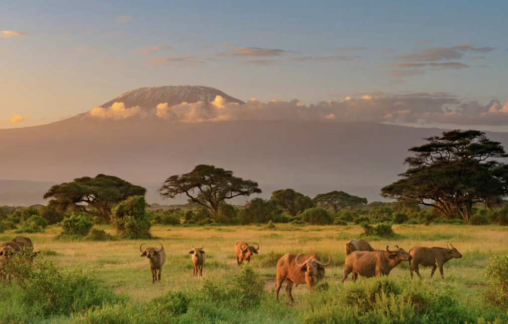 East Africa Travel Visa Guide for US Citizens